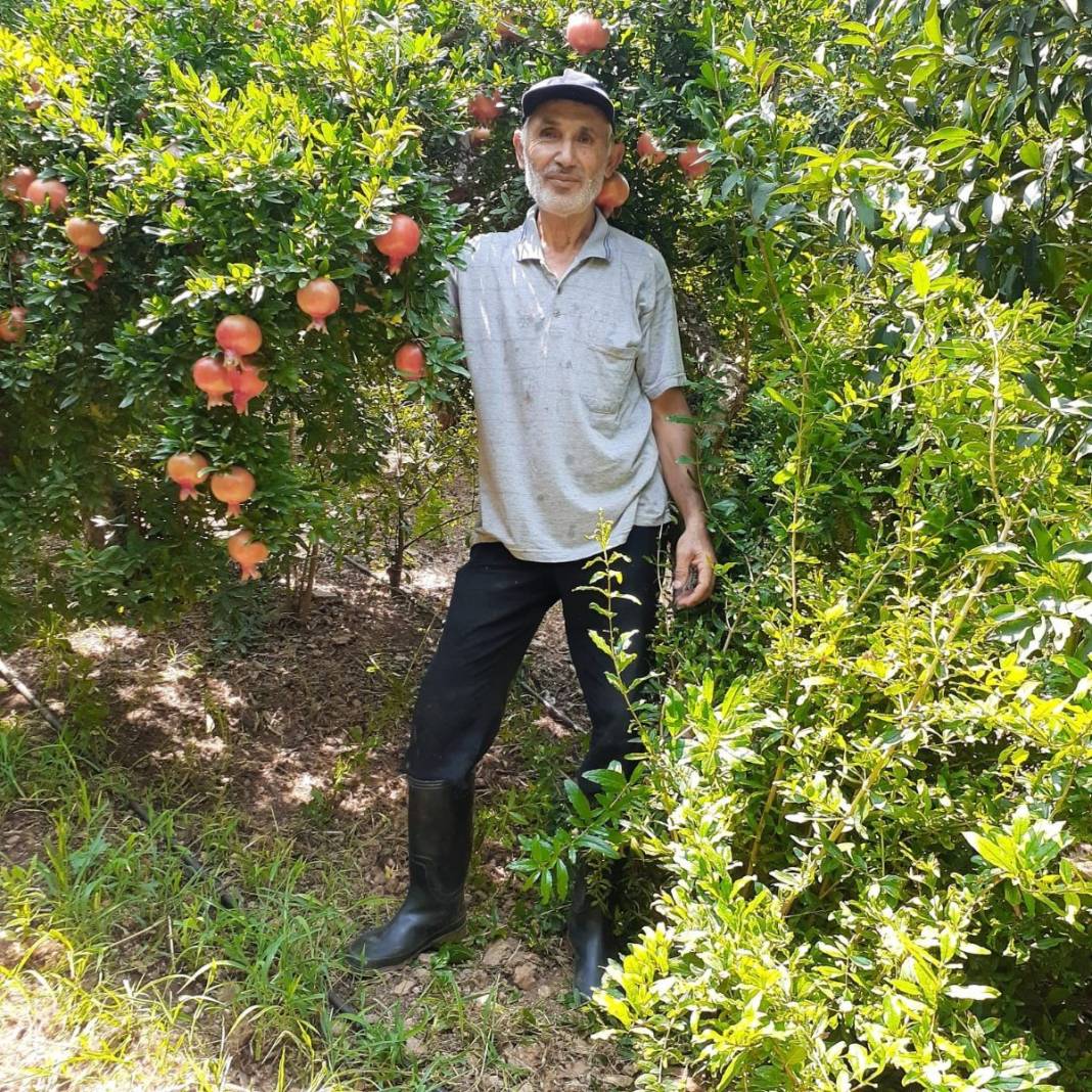 İstanbul'a kasa kasa gidiyor! Bir ısırığı bağışıklığı tavana yükseltiyor: Kırmızı altında hasat başladı 3